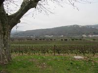 066_Weingut Quinta da Pacheca &ndash; &copy; Karolin Kühn (Eberhardt TRAVEL)