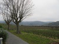 068_Weingut Quinta da Pacheca &ndash; &copy; Karolin Kühn (Eberhardt TRAVEL)