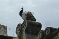 P1040950 &ndash; &copy; Kathrin Mickan (Eberhardt TRAVEL)