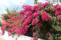 P1050282 &ndash; &copy; Kathrin Mickan (Eberhardt TRAVEL)