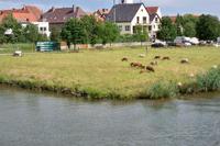 Landschaft am Main &ndash; &copy; Irene Schneider (Eberhardt TRAVEL)