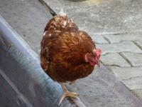 Tiere am Fluß (2) &ndash; &copy; Steffi Zimmermann (Eberhardt TRAVEL)