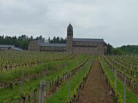 Weinberg bei Rüdesheim &ndash; &copy; Steffi Zimmermann (Eberhardt TRAVEL)