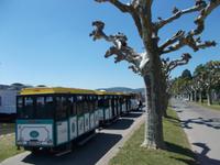 DSCN0433  Winzerexpress &ndash; &copy; Kerstin Veit (Eberhardt TRAVEL)