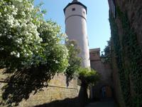 DSCN0499  Stadtmauer &ndash; &copy; Kerstin Veit (Eberhardt TRAVEL)