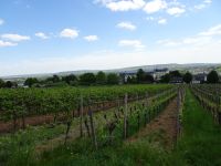 Rüdesheim &ndash; &copy; Sabine Letzybyll (Eberhardt TRAVEL)