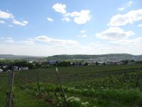 Rüdesheim &ndash; &copy; Sabine Letzybyll (Eberhardt TRAVEL)