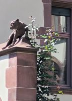 Basel Altstadt &ndash; &copy; Steffi Zimmermann (Eberhardt TRAVEL)