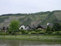 Weinberge &ndash; &copy; Günter Löwe (Eberhardt TRAVEL)