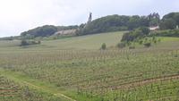 Blick zum Niederwalddeckmal