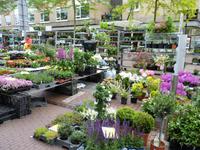 Neijmegen Blumenmarkt &ndash; &copy; Steffi Zimmermann (Eberhardt TRAVEL)