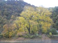 Fahrt auf der Mosel &ndash; &copy; Kerstin Hugel (Eberhardt TRAVEL)