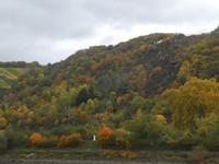Loreley &ndash; &copy; Kerstin Hugel (Eberhardt TRAVEL)