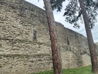 Andernach &ndash; &copy; Sabine Letzybyll (Eberhardt TRAVEL)