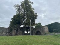 Andernach &ndash; &copy; Sabine Letzybyll (Eberhardt TRAVEL)