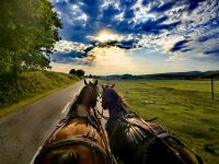 Kutschfahrt in Bazna &ndash; &copy; Simone Willner (Eberhardt TRAVEL)
