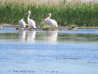 Donaudelta &ndash; &copy; Barbara Mihut (Eberhardt TRAVEL)