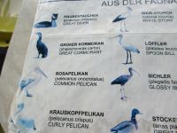 Donaudelta, Fauna &ndash; &copy; Barbara Mihut (Eberhardt TRAVEL)