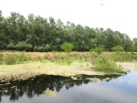 Donaudelta &ndash; &copy; Barbara Mihut (Eberhardt TRAVEL)