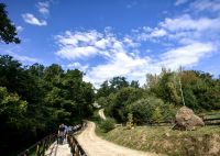 Wir laufen ins Bärenreservat Zarnesti &ndash; &copy; Simone Willner (Eberhardt TRAVEL)