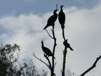 Vier auf einen Streich &ndash; &copy; Falk Rätzer (Eberhardt TRAVEL)