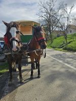 &copy; Mariele Legler (Eberhardt TRAVEL)