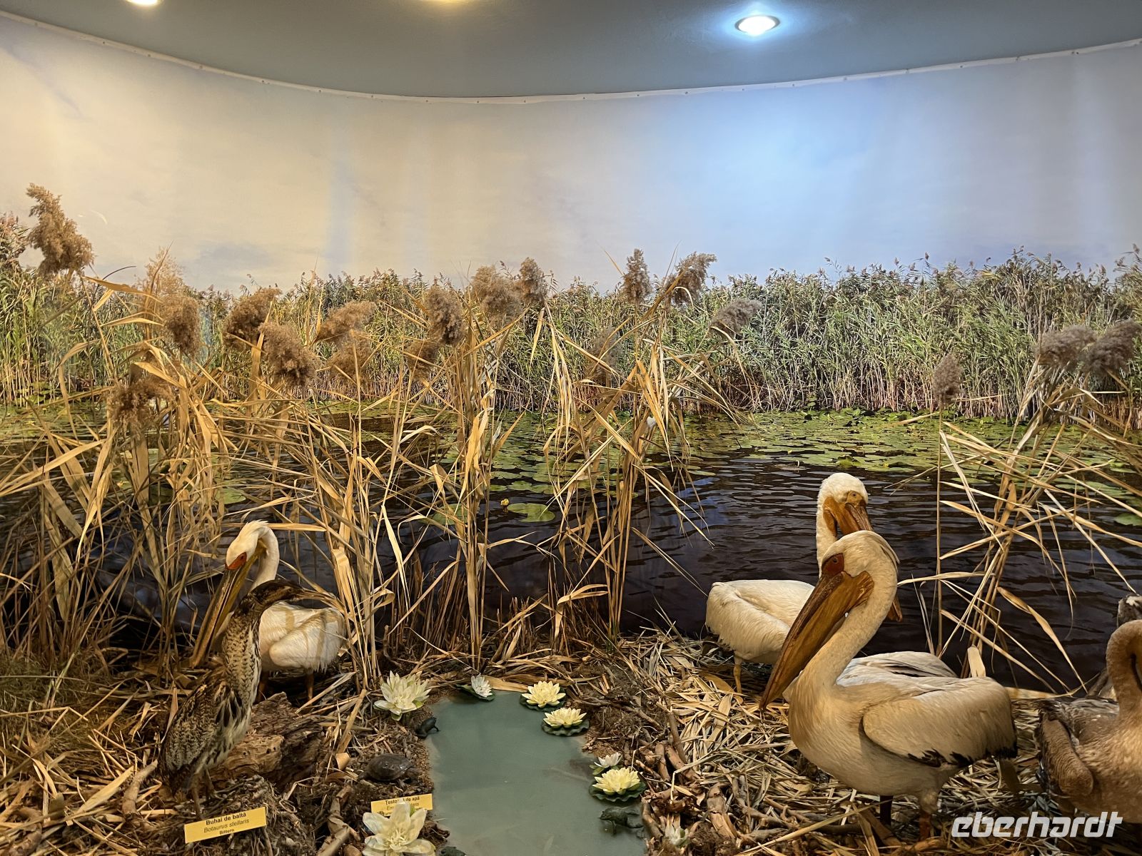 Donaudelta-Museum, Tulcea, Rumänien &ndash; &copy; Maria Feibig (Eberhardt TRAVEL)