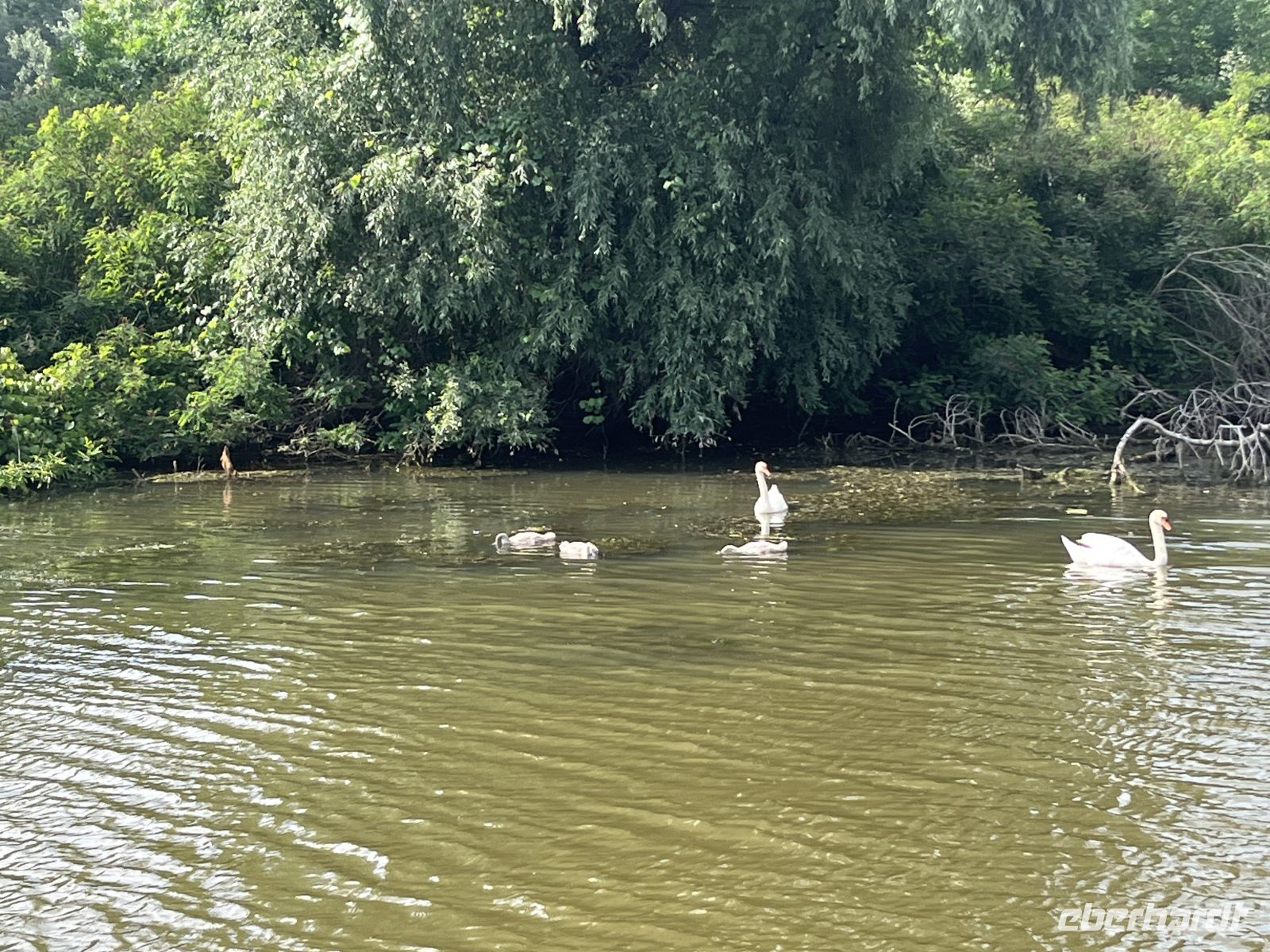 Schifffahrt, Donaudelta, Tulcea, Rumänien &ndash; &copy; Maria Feibig (Eberhardt TRAVEL)