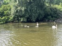 Schifffahrt, Donaudelta, Tulcea, Rumänien &ndash; &copy; Maria Feibig (Eberhardt TRAVEL)