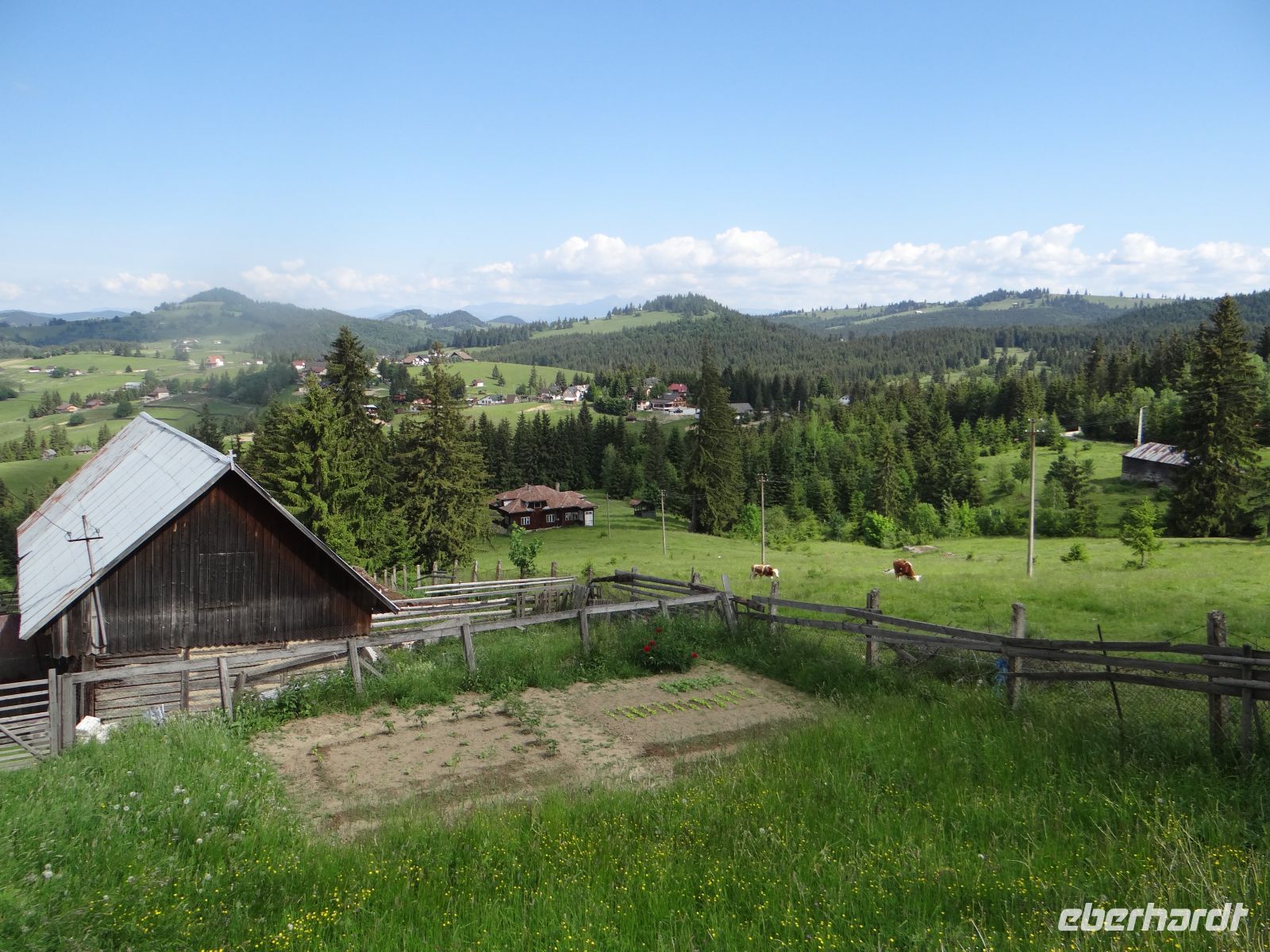 Unsere Fahrt führt uns über die Ostkarpaten.  &ndash; &copy; Vivian Kreft (Eberhardt TRAVEL)