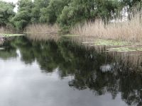 Tulcea, Donaudelta &ndash; &copy; Vivian Kreft (Eberhardt TRAVEL)
