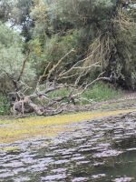 Blumenteppich  &ndash; &copy; Annette Profft (Eberhardt TRAVEL)