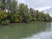Im Donaudelta  &ndash; &copy; Annette Profft (Eberhardt TRAVEL)