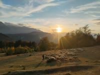 Die Karpaten im warmen Abendlicht &ndash; &copy; Monika Cortese (Eberhardt TRAVEL)