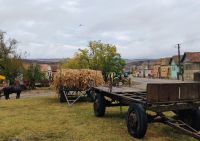 Boian (Bonnesdorf) &ndash; &copy; Monika Cortese (Eberhardt TRAVEL)