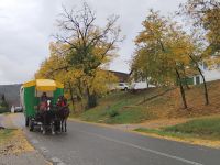 Kutschenfahrt von Bazna nach Boian (Bonnesdorf) &ndash; &copy; Monika Cortese (Eberhardt TRAVEL)