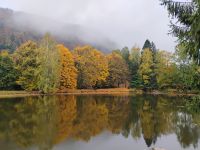 Forellenseen am Orthodoxen Kloster Sâmbăta de Sus