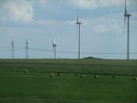 Windräder &ndash; &copy; Sylvia Sann (Eberhardt TRAVEL)