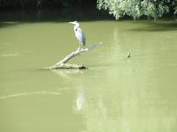 IMG 0450 &ndash; &copy; Sylvia Sann (Eberhardt TRAVEL)