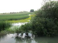 IMG 0462 &ndash; &copy; Sylvia Sann (Eberhardt TRAVEL)