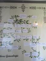 IMG 0937 &ndash; &copy; Sylvia Sann (Eberhardt TRAVEL)