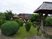 Topfbaum &ndash; &copy; Elke Knappe (Eberhardt TRAVEL)