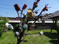 Topfbaum &ndash; &copy; Elke Knappe (Eberhardt TRAVEL)