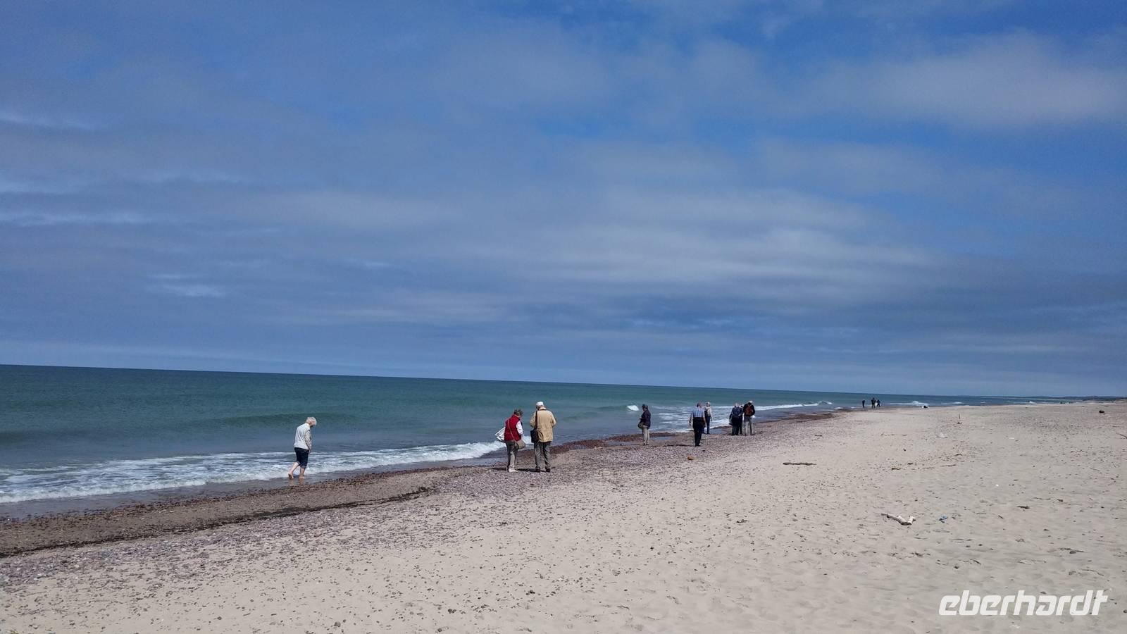 Strand auf der Kurischen Nehrung &ndash; &copy; Gerd Przybyla (Eberhardt TRAVEL)
