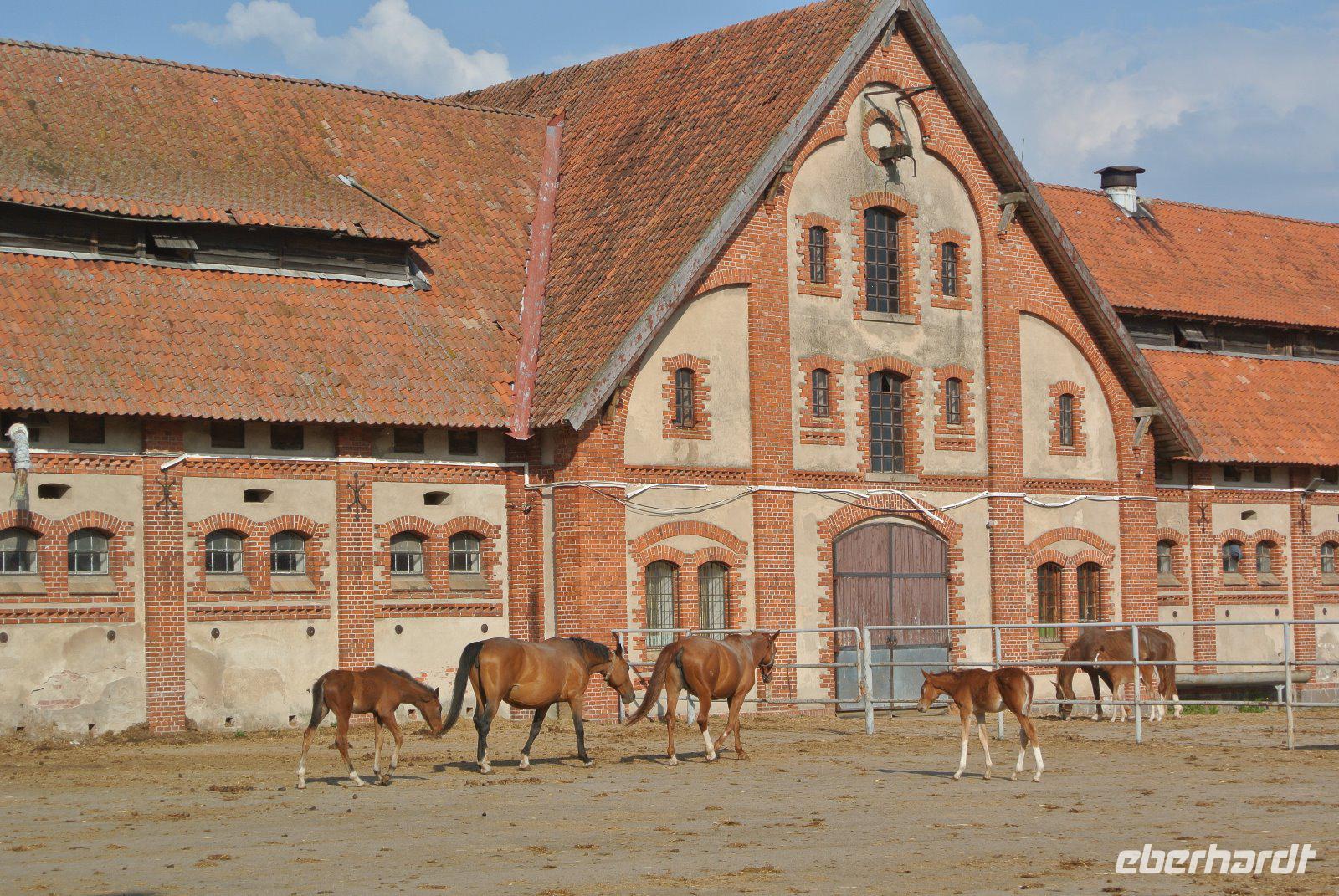 Gestüt Georgenburg  &ndash; &copy; Gerd Przybyla (Eberhardt TRAVEL)