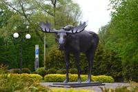 Elch-Denkmal in Tilsit &ndash; &copy; Andreas Wolfsteller (Eberhardt TRAVEL)