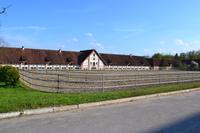Gestüt Georgenburg bei Insterburg &ndash; &copy; Andreas Wolfsteller (Eberhardt TRAVEL)