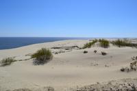 Dünen auf der Kurischen Nehrung &ndash; &copy; Andreas Wolfsteller (Eberhardt TRAVEL)