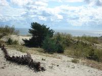Nidden: Hohe Düne &ndash; &copy; Inge Bily (Eberhardt TRAVEL)