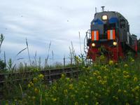 an der Baikalbahn &ndash; &copy; Jürgen Schmeißer (Eberhardt TRAVEL)